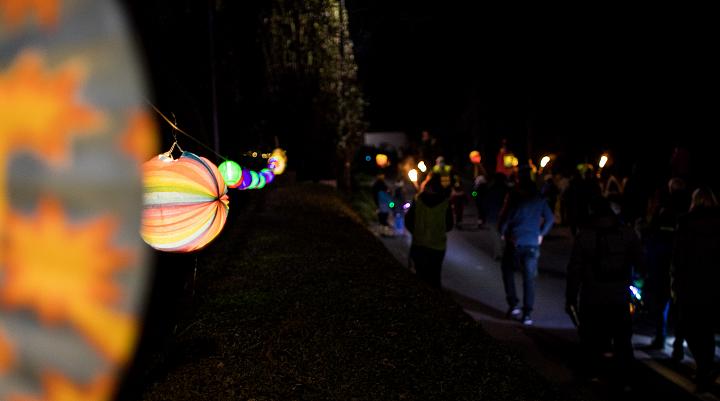 Bild: 20221112-190137.jpg